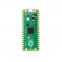 Raspberry Pico RP2040