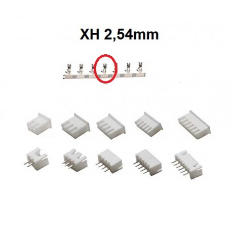 JST-XH jungties kontaktas (1x Mot.)