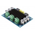 1x100W audio stiprintuvas (12-26V) su TPA3116D2