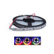 RGB LED juosta hermetiška IP67 12V 60px/m WS2811 adresuojama 5m