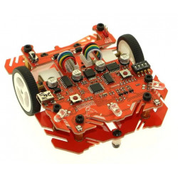 RoadRunner Maze Solver MicroMouse Robot