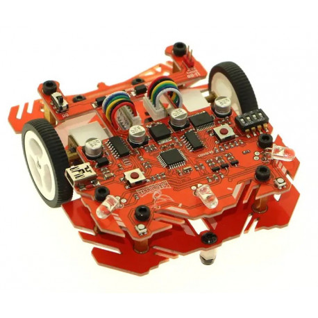 RoadRunner Maze Solver MicroMouse Robot