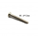 Nerūdijančio plieno varžtas M1,6 x 12mm (10vnt.)